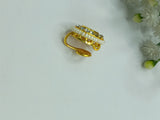 DROP KUNDAN NATH
